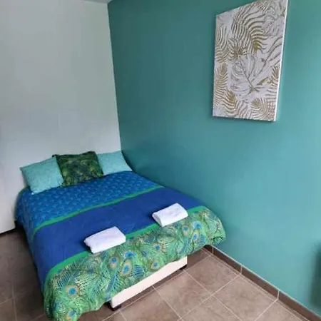 Castelema - Appartement Proche Du Sanctuaire Lourdes Exterior photo